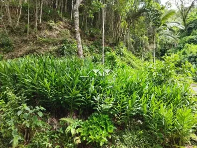 Terreno / Lote / Condomínio à venda, 503m² no Quitandinha, Petrópolis