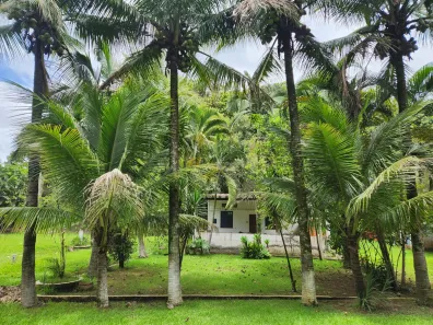 Fazenda / Sítio / Chácara com 2 Quartos à venda, 10000m² no São Judas Tadeu, Barra Mansa