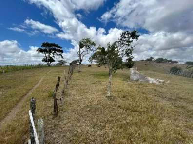 Fazenda / Sítio / Chácara à venda, 230000m² no , Sairé