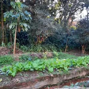 Fazenda / Sítio / Chácara com 2 Quartos à venda, 3050m² no Califórnia da Barra, Barra do Piraí