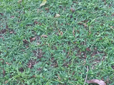 Fazenda / Sítio / Chácara com 3 Quartos à venda, 400m² no porta do sol, Mairinque