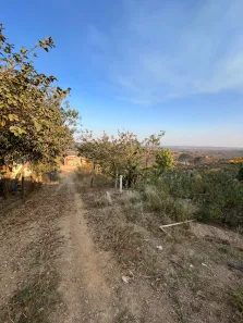 Fazenda / Sítio / Chácara com 3 Quartos à venda, 20000m² no , Brasília
