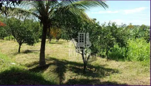 Fazenda / Sítio / Chácara com 5 Quartos à venda, 273m² no Manoel Ribeiro (Ponta Negra), Maricá