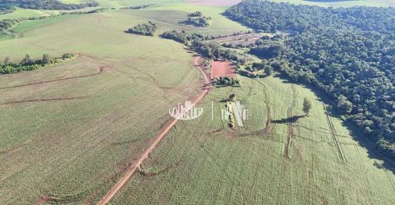 Fazenda / Sítio / Chácara à venda, 4065600m² no Cornélio Procópio, Cornélio Procópio