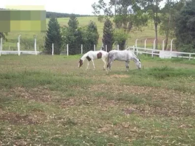 Fazenda / Sítio / Chácara com 5 Quartos para venda ou aluguel, 250m² no Campo Largo, Salto de Pirapora