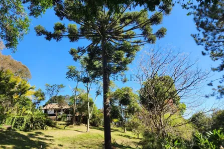 Fazenda / Sítio / Chácara com 3 Quartos à venda, 336m² no Alphaville Graciosa, Pinhais