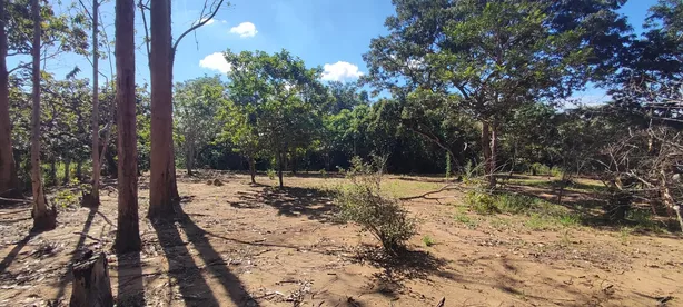Fazenda / Sítio / Chácara com 1 Quarto à venda, 10000m² no Chácaras Ipanema, Valparaíso de Goiás