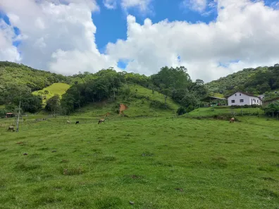 Terreno / Lote / Condomínio à venda, 11000m² no , Águas Mornas