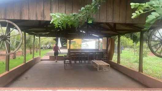 Fazenda / Sítio / Chácara com 3 Quartos à venda, 150m² no Alvorada do Sul, Alvorada do Sul