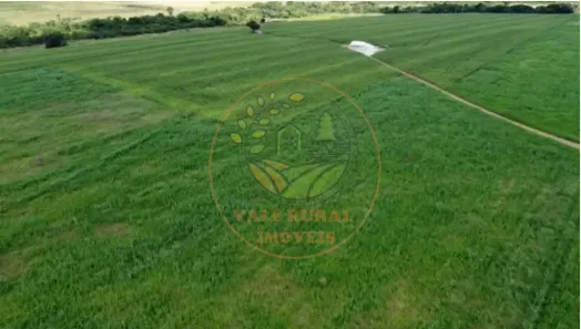Fazenda / Sítio / Chácara com 4 Quartos à venda, 672m² no Centro, Paraíso do Tocantins