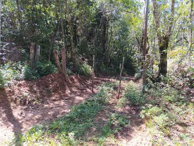 Fazenda / Sítio / Chácara à venda, 508200m² no , Piedade