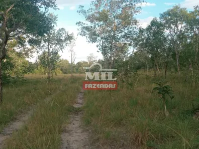 Fazenda / Sítio / Chácara à venda, 500m² no , Guaraí
