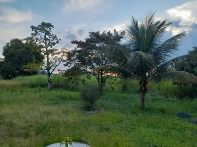Fazenda / Sítio / Chácara com 3 Quartos à venda, 200m² no Ipiranga, Nova Iguaçu