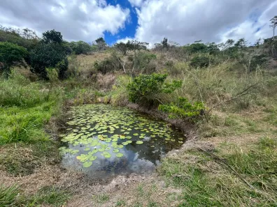Fazenda / Sítio / Chácara com 2 Quartos à venda, 20000m² no , Sairé