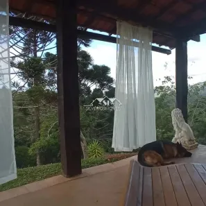 Fazenda / Sítio / Chácara com 4 Quartos à venda, 390m² no Araras, Petrópolis