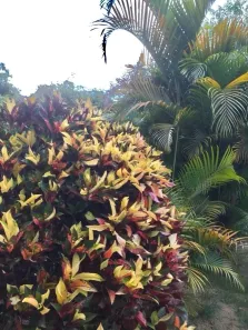 Fazenda / Sítio / Chácara com 2 Quartos à venda, 100m² no QUINTAS DE PIRAPORA, Salto de Pirapora