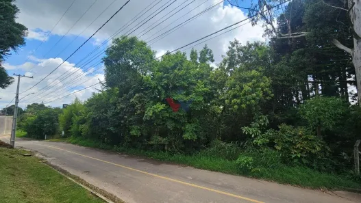 Fazenda / Sítio / Chácara com 1 Quarto à venda, 11000m² no São Miguel, Almirante Tamandaré