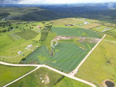 Terreno / Lote / Condomínio à venda, 20000m² no São Luiz do Purunã, Balsa Nova
