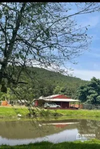 Fazenda / Sítio / Chácara com 4 Quartos à venda, 36300m² no , Guaraniaçu
