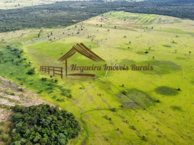 Fazenda / Sítio / Chácara à venda, 1m² no , Formoso do Araguaia