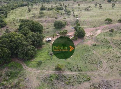 Fazenda / Sítio / Chácara à venda, 4927725m² no , Pium