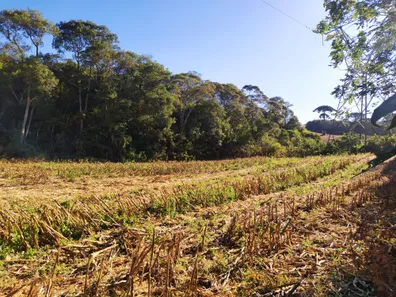 Fazenda / Sítio / Chácara à venda, 12700m² no Restinga Seca, Almirante Tamandaré