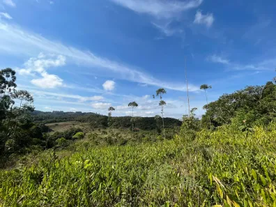 Fazenda / Sítio / Chácara à venda, 11000m² no Massaranduba, Massaranduba
