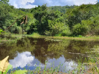 Terreno / Lote / Condomínio à venda, 20000m² no Zona Rural, Fortuna de Minas