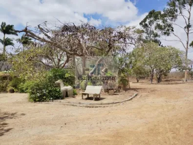 Fazenda / Sítio / Chácara com 6 Quartos à venda, 296000m² no Centro, Gravatá