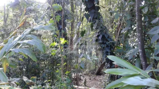Terreno / Lote / Condomínio à venda, 10m² no Parque Rio Grande, Rio Grande da Serra