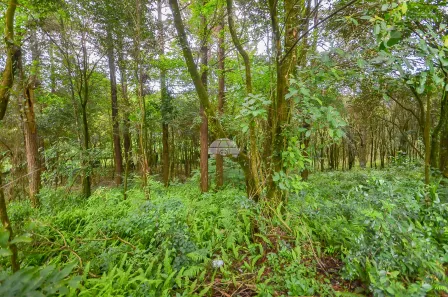 Terreno / Lote / Condomínio à venda, 4545m² no Colonia Santa Gabriela, Almirante Tamandaré