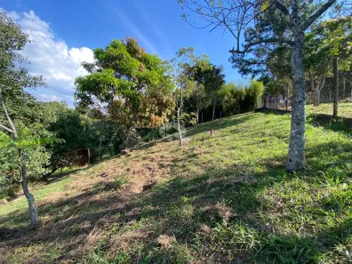 Fazenda / Sítio / Chácara à venda, 222m² no São Vicente, Mairiporã