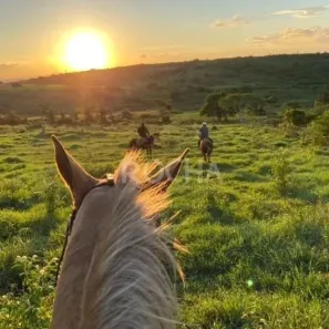 Fazenda / Sítio / Chácara com 5 Quartos à venda, 225000m² no Área Rural de Caruaru, Caruaru