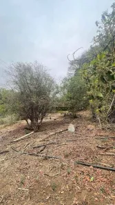 Fazenda / Sítio / Chácara com 6 Quartos à venda, 27000m² no Chácara São Benedito, Capivari