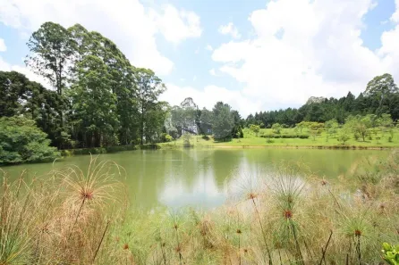 Fazenda / Sítio / Chácara com 15 Quartos à venda, 1200m² no Vila Darcy Penteado (Mailasqui), São Roque