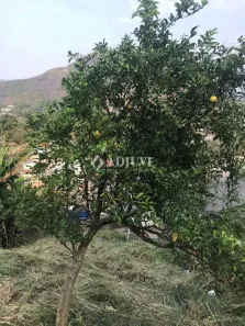 Terreno / Lote / Condomínio com 1 Quarto à venda, 590m² no Quitandinha, Petrópolis