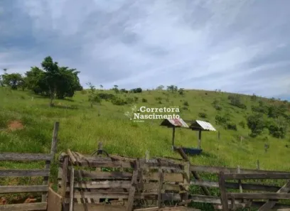 Fazenda / Sítio / Chácara com 2 Quartos à venda, 110m² no Jardim Colinas, Jacareí