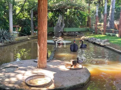 Fazenda / Sítio / Chácara com 2 Quartos à venda, 734m² no Estiva, Taubaté