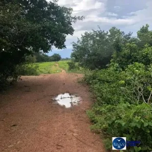 Fazenda / Sítio / Chácara com 1 Quarto à venda, 1880m² no Setor Central, Formoso do Araguaia