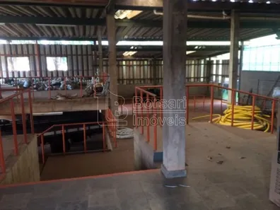 Galpão / Depósito / Armazém à venda, 300m² no Jardim Ártico, Araraquara