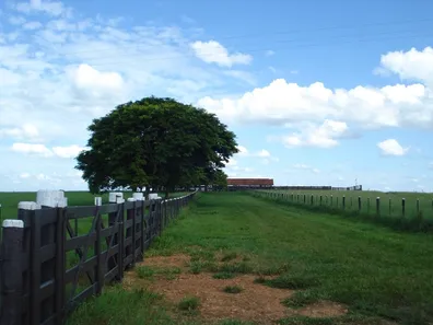 Fazenda / Sítio / Chácara com 3 Quartos à venda, 75m² no , Pompéia