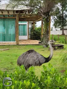 Casa de Condomínio com 3 Quartos à venda, 450m² no Bessa, Conceição do Jacuípe
