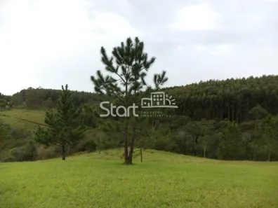 Fazenda / Sítio / Chácara com 5 Quartos à venda, 200m² no , Pilar do Sul