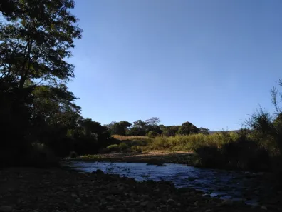Fazenda / Sítio / Chácara à venda, 5150m² no Mansões Eldorado, Novo Gama