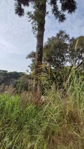 Terreno / Lote / Condomínio à venda, 424m² no Santa Cândida, Curitiba