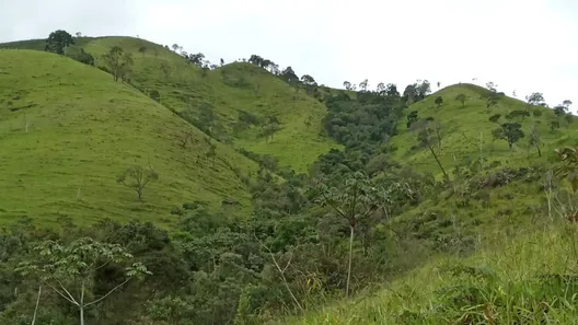 Fazenda / Sítio / Chácara à venda, 480000m² no Visconde de Mauá, Resende
