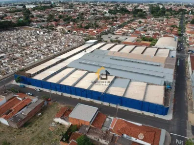Galpão / Depósito / Armazém para alugar, 10000m² no Centro, Mirassol
