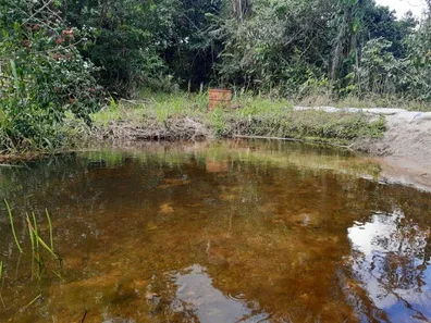 Fazenda / Sítio / Chácara com 2 Quartos à venda, 160000m² no Mata Redonda, Alhandra