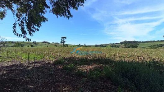 Fazenda / Sítio / Chácara com 4 Quartos à venda, 500m² no , Catanduvas
