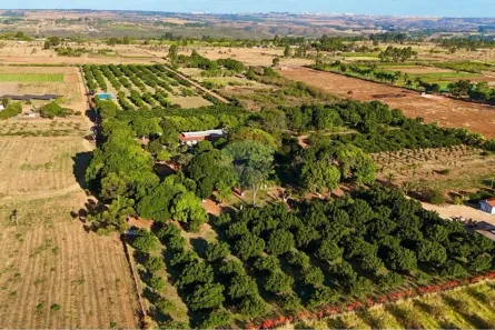 Fazenda / Sítio / Chácara com 4 Quartos à venda, 50000m² no Brazlândia, Brasília